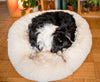 Large Calming Donut Dog Bed – Orthopedic Washable Pet Sofa