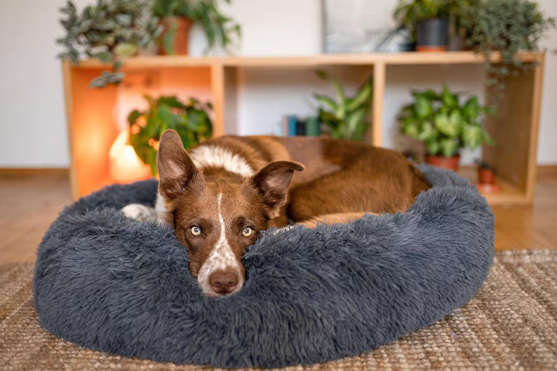 Calming Donut Dog Bed – Orthopedic Washable Pet Sofa