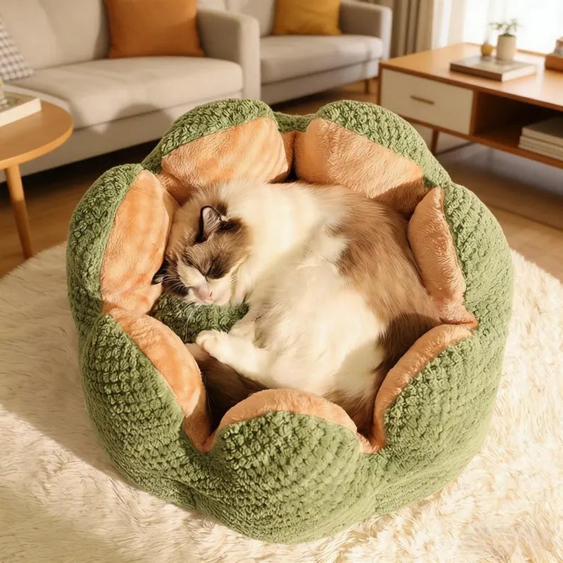 Cactus Plush Pet Bed – Cozy Washable Bed for Cats & Small Dogs